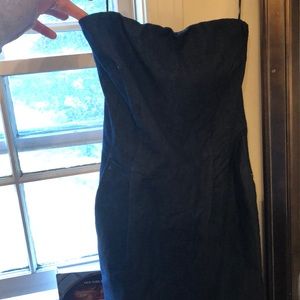 Express Dark Denim Dress